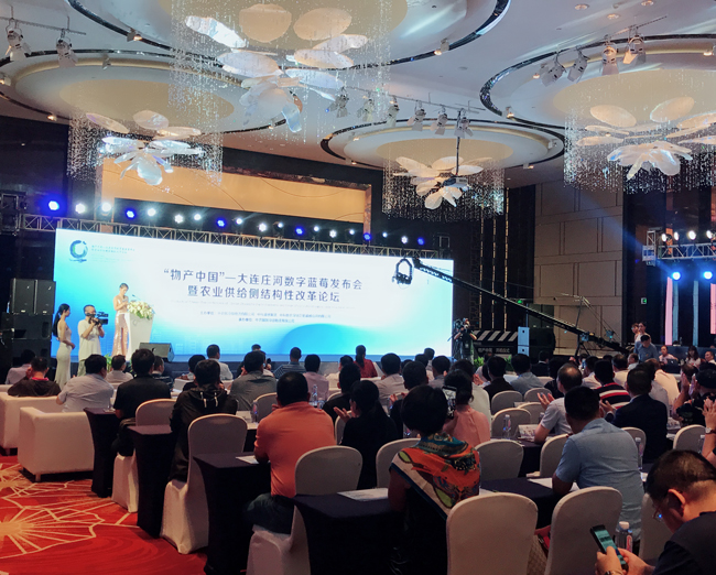 固液分离专家